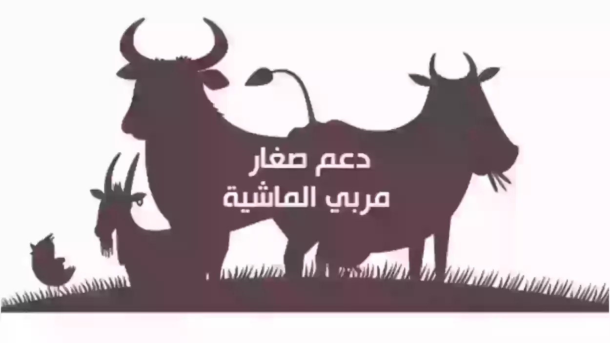 كيف يمكنني احتساب دعم المواشي بسهولة