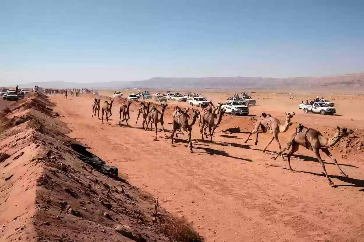 البناقي وش يرجع؟ أصل وديرة البناقي