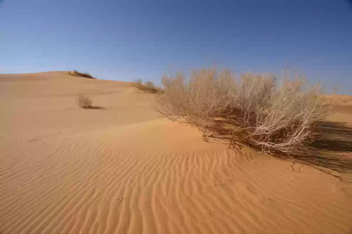 النفود الكبير على شكل قوس يغطي مساحة كبيرة من نجد