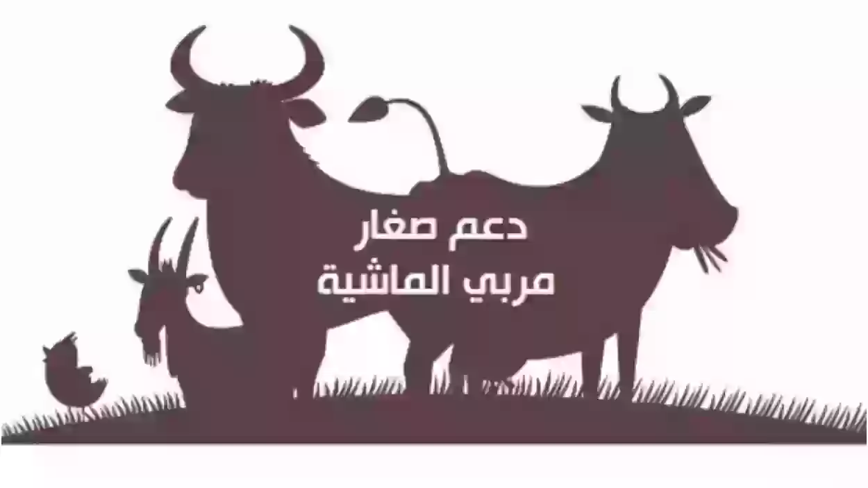 خطوات الاستعلام عن دعم مربي المواشي