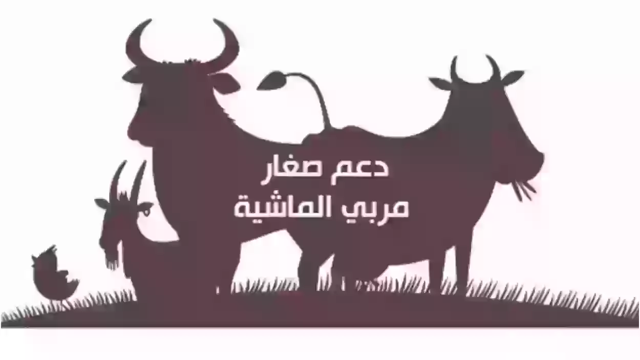 الاستعلام عن استحقاق دعم صغار مربي الماشية في السعودية 