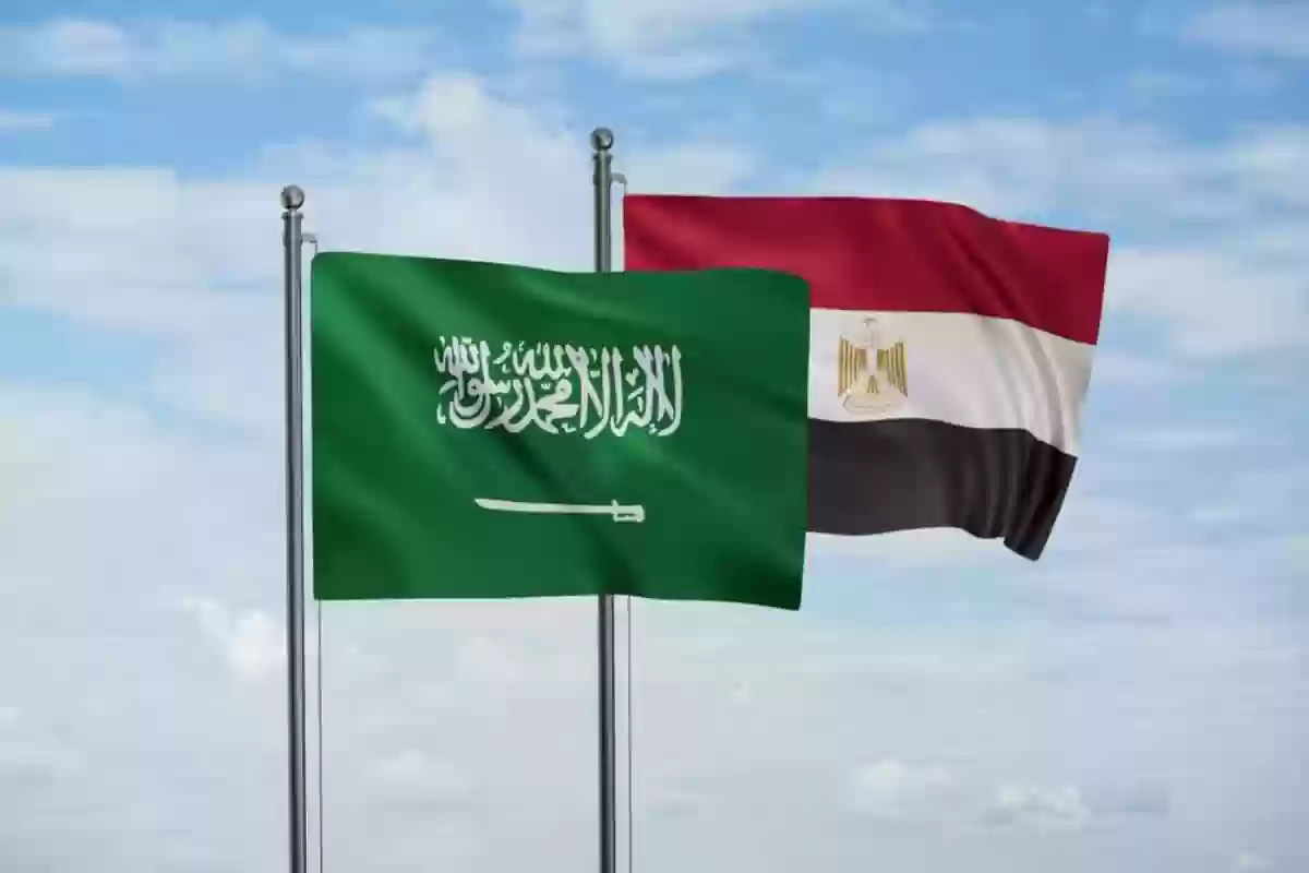 السعودية تسعى لحل مشكلة انقطاع الكهرباء في مصر