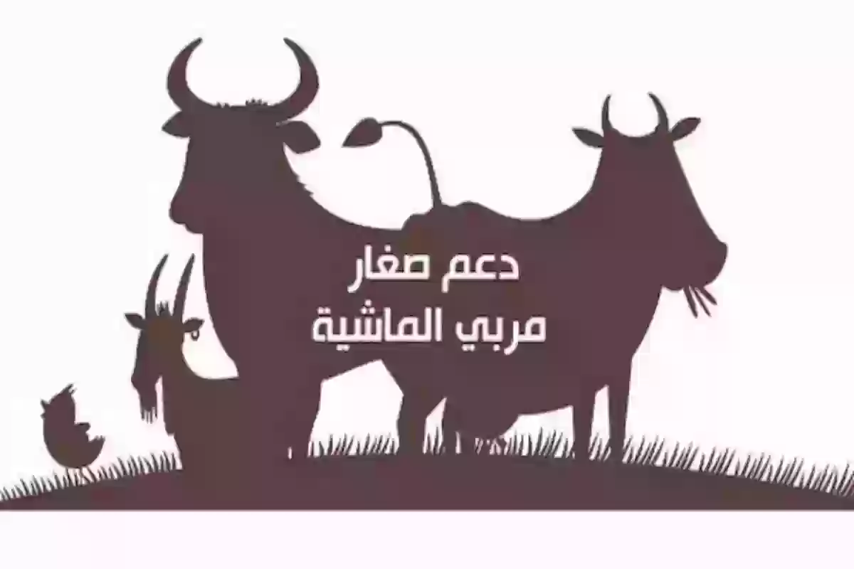 تلك الفئات المستحقة لدعم المواشي في المملكة وإليك طريقة الاستعلام